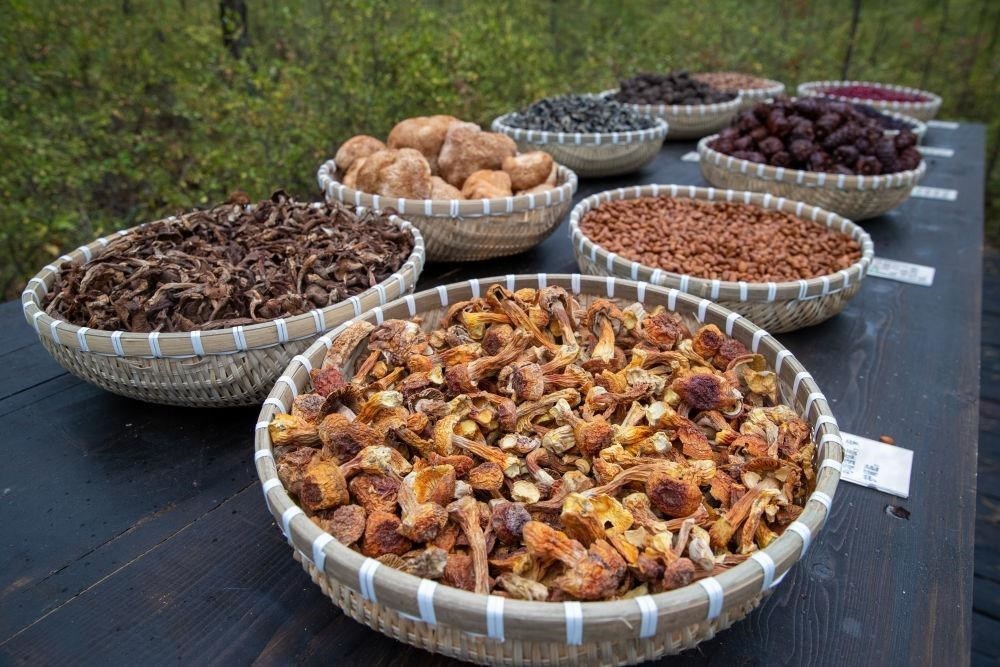 △近日，漠河市北極村一景區(qū)展示的林下產(chǎn)品。