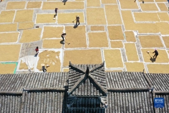 9月16日，村民在貴州省黔東南苗族侗族自治州從江縣剛邊壯族鄉(xiāng)三聯村晾曬稻谷（無人機照片）。