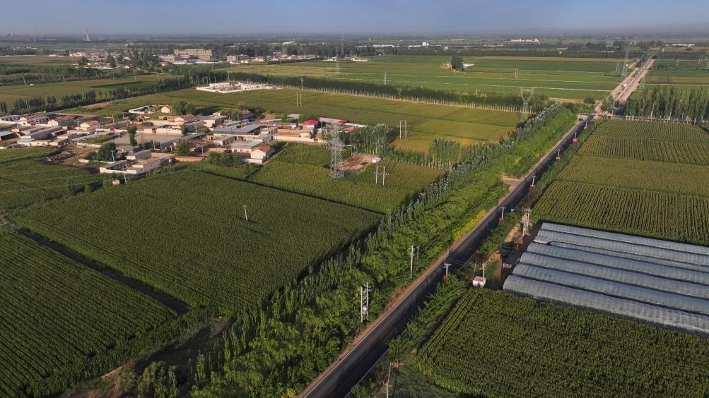 東興村周邊建起防護(hù)林網(wǎng)（無(wú)人機(jī)照片，2023年9月12日攝）。新華社記者李云平 攝