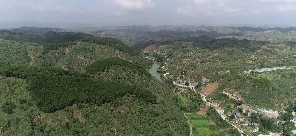 黃土溝壑中的高西溝村滿眼綠色（無(wú)人機(jī)照片，2023年7月26日）。新華社記者陳昌奇 攝