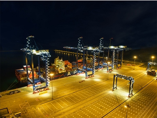 萊基港實(shí)行7×24小時(shí)裝卸作業(yè)機(jī)制。受訪者供圖