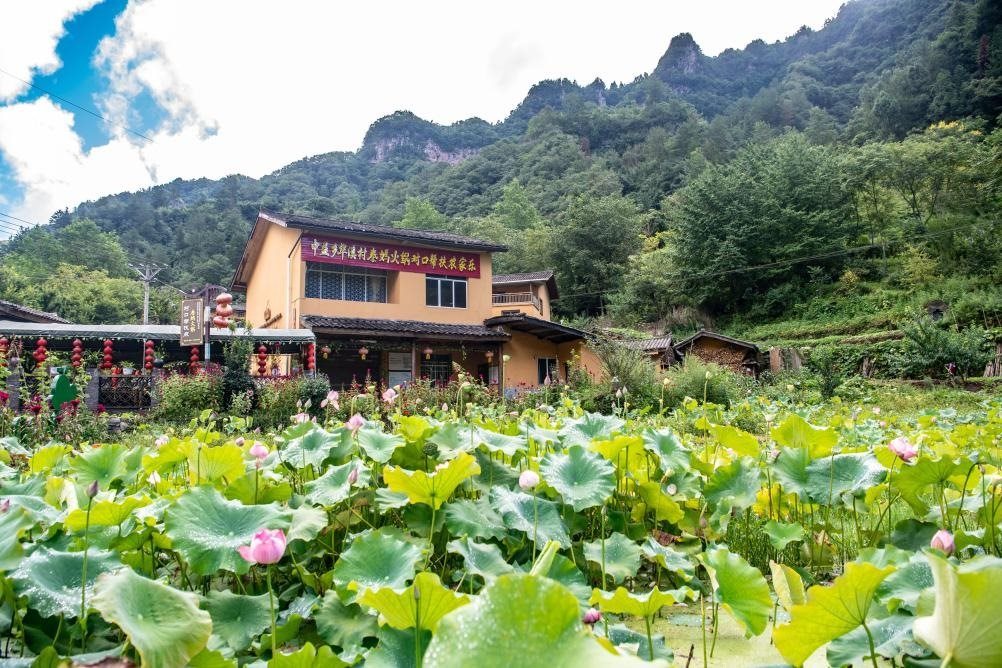 這是8月28日拍攝的華溪村村民開設的農(nóng)家樂外景。新華社記者 唐奕 攝