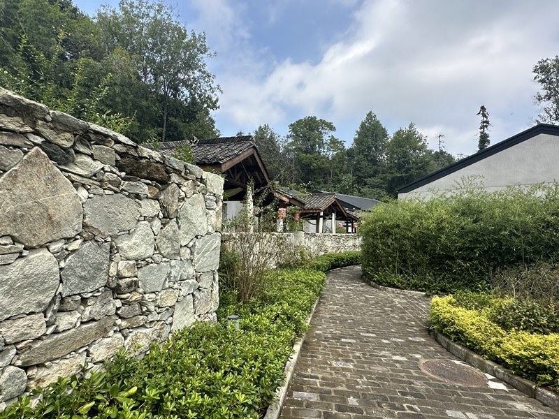 眾多民宿坐落于夫子山山麓。人民網(wǎng) 王紹紹攝