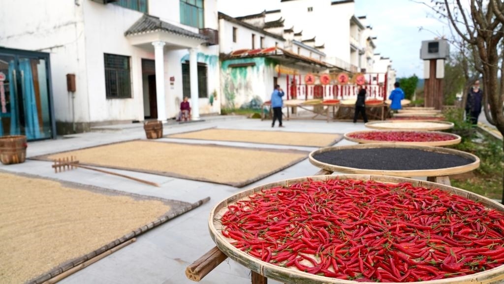 近日拍攝的江西省上饒市婺源縣秋口鎮(zhèn)王村石門自然村。新華社記者 胡晨歡 攝