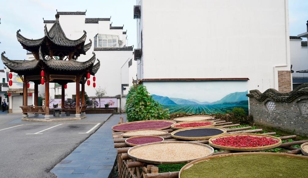 近日拍攝的江西省上饒市婺源縣秋口鎮(zhèn)王村石門自然村曬秋場(chǎng)景。新華社記者 胡晨歡 攝