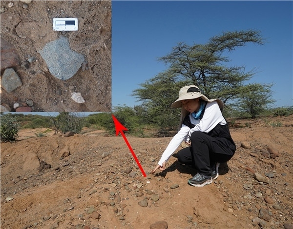 地層中的勒瓦婁哇石片。中肯聯(lián)合考古隊(duì)供圖