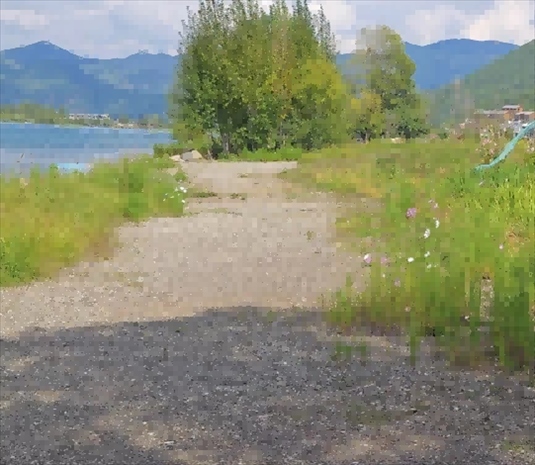 王軍所說被填區(qū)域。 人民網(wǎng)記者 黃鈺攝