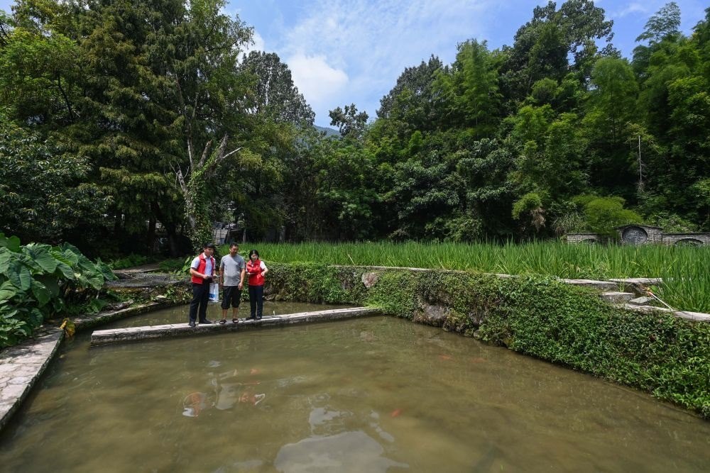 2023年8月17日，浙江省麗水市青田縣方山鄉(xiāng)田魚養(yǎng)殖戶吳勇強（中）在接受青田農商銀行“小蜻蜓”服務隊志愿者提供的“惠民易貸”上門服務。近年來，青田縣金融發(fā)展中心聯(lián)合各個金融機構優(yōu)化配套鄉(xiāng)村振興金融服務，推出“惠民易貸”“農家樂貸”等金融產品，重點支持涉農龍頭企業(yè)及特色種養(yǎng)殖產業(yè)。新華社記者 徐昱 攝