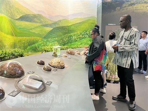  （在中國藥都中醫(yī)藥博物館，外媒記者了解中醫(yī)藥發(fā)展史。中國經(jīng)濟周刊記者 郭志強 攝）