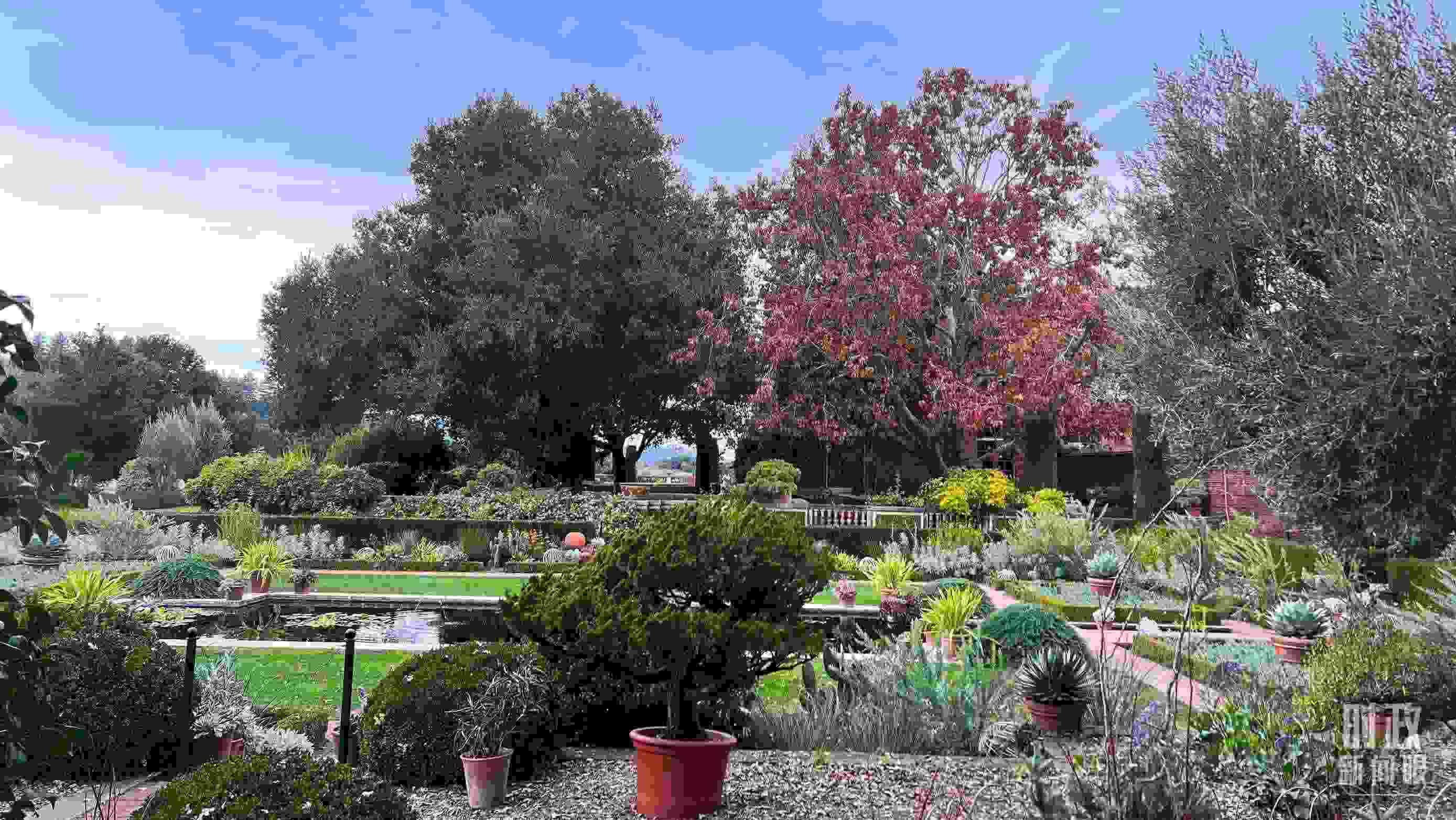 斐洛里莊園被稱作美國20世紀現(xiàn)存最精美鄉(xiāng)村莊園之一。（總臺央視記者程鋮拍攝）