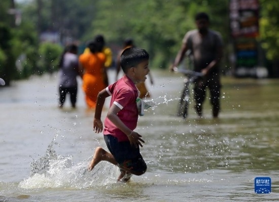 11月24日，一名男孩在斯里蘭卡加姆珀哈涉水出行。新華社發(fā)（阿吉特·佩雷拉攝）