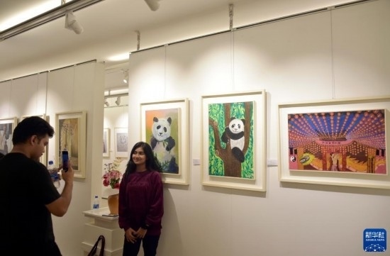 11月22日，在孟加拉國達(dá)卡，人們在“國家印象”繪畫展上參觀拍照。新華社發(fā)（薩利姆攝）
