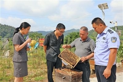  圖②：蒙山法院黃村法庭法官深入蜂蜜合作社，實地了解蜂農(nóng)需求。