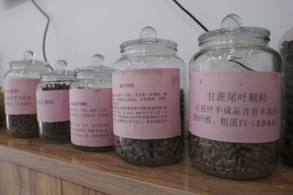 這是12月13日在來(lái)賓市興賓區(qū)小平陽(yáng)鎮(zhèn)一家飼料廠拍攝的以甘蔗尾葉為原料制成的飼料。