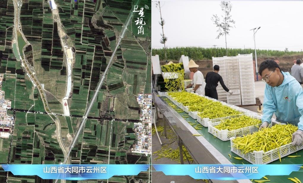 當(dāng)前，大同市開發(fā)黃花菜品、食品、飲品、功能食品、化妝品、文創(chuàng)產(chǎn)品六大系列130余種，全產(chǎn)業(yè)鏈產(chǎn)值超40億元。