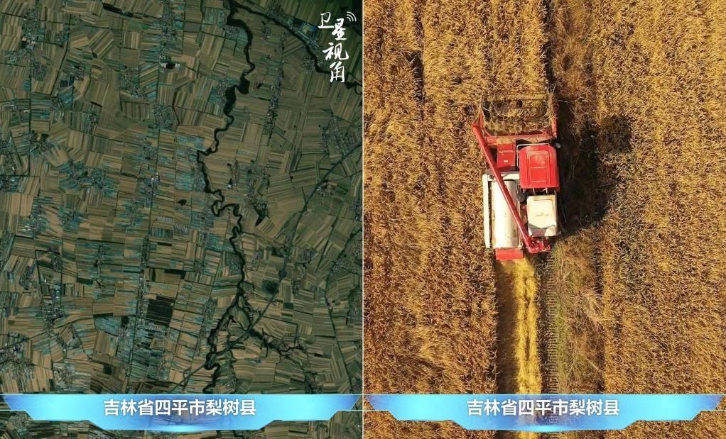 隨著現(xiàn)代化農(nóng)機(jī)普及應(yīng)用，保護(hù)性耕作“梨樹模式”得以大面積推廣，不僅使黑土地保護(hù)與利用持續(xù)深入，更為糧食作物高產(chǎn)穩(wěn)產(chǎn)助力。