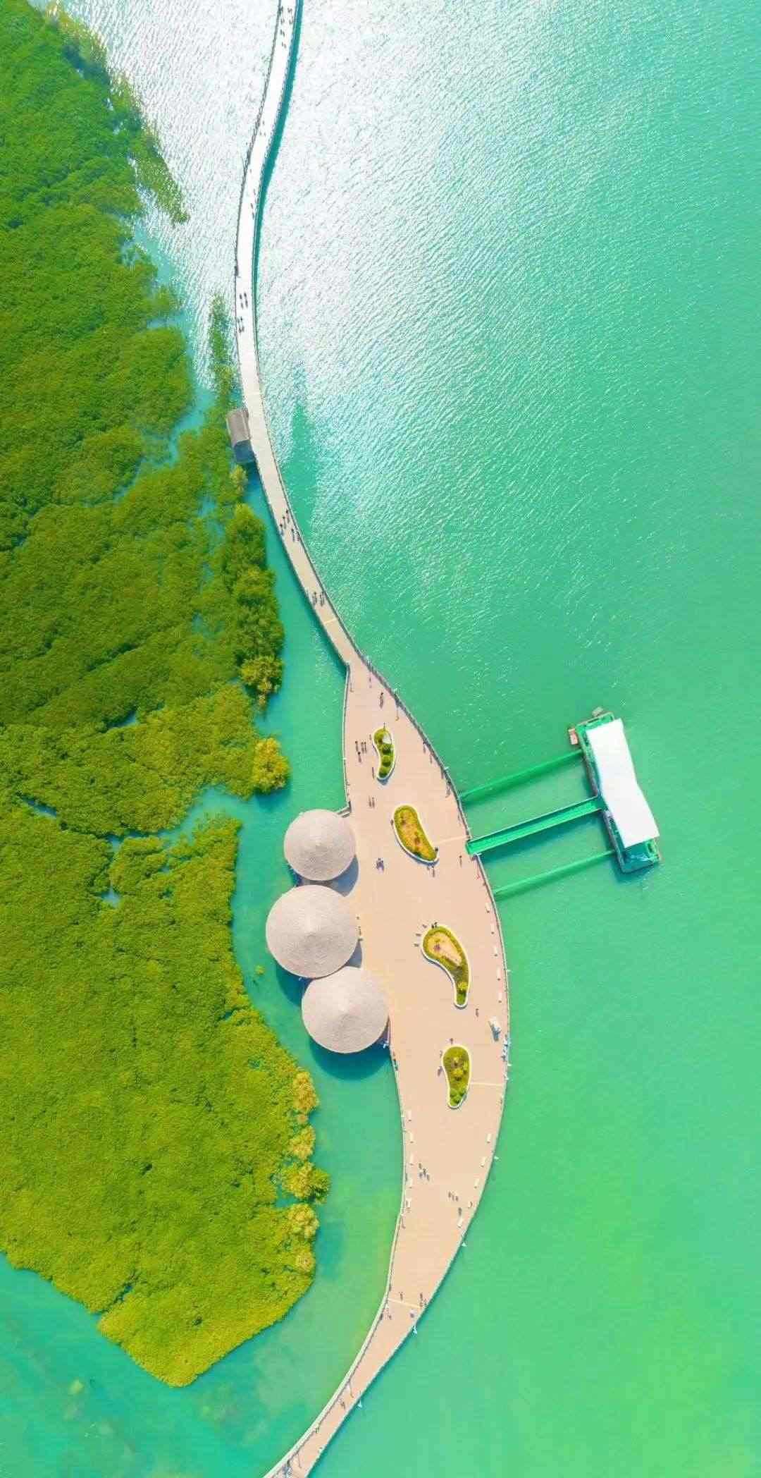 下潭尾紅樹林公園（人民網記者 陳博攝） 