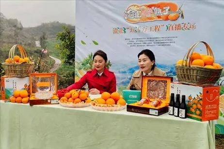 2021年2月26日，在重慶渝北區(qū)大盛鎮(zhèn)青龍村舉辦的直播活動現(xiàn)場。