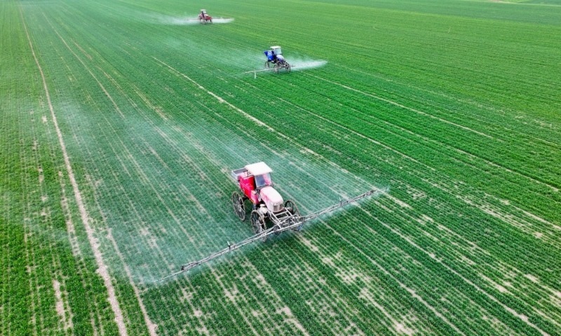 2024年2月18日，安徽省亳州市，利辛縣紀(jì)王場鄉(xiāng)孫老家村麥田，農(nóng)民駕駛自走式高桿噴霧機(jī)對小麥進(jìn)行噴藥作業(yè)。
