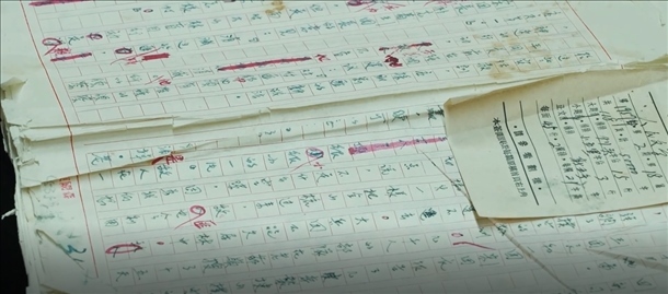 曲波《林海雪原》手稿。主辦方供圖