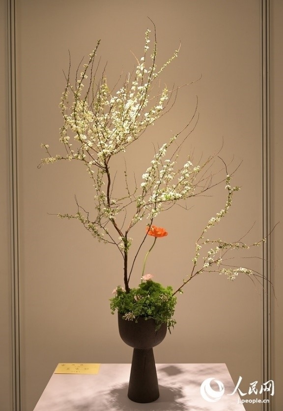 插花作品。人民網(wǎng) 玄番登史江攝