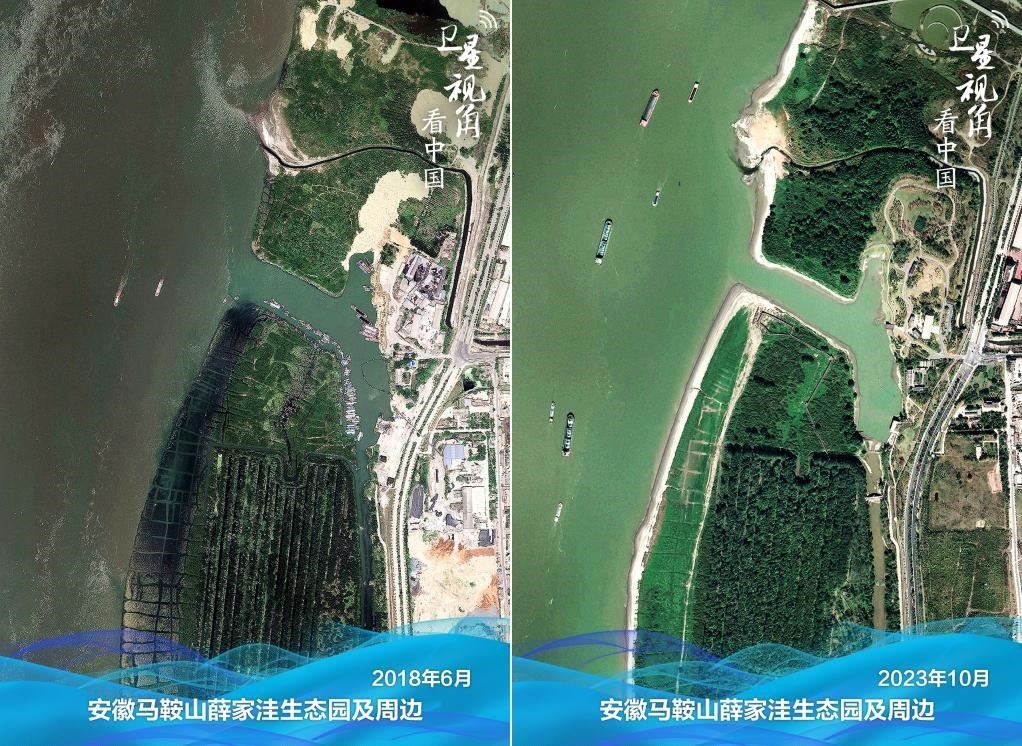 經(jīng)過整治后的安徽馬鞍山薛家洼生態(tài)園生機盎然。