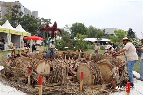 坎波·馬特活動現(xiàn)場。埃內(nèi)斯托·多明戈斯攝