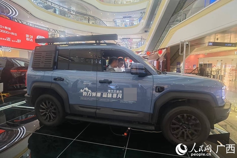 消費(fèi)者在商場(chǎng)選購汽車。人民網(wǎng)記者 陳燕攝