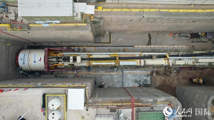 質(zhì)構(gòu)機(jī)全景。陳露明攝