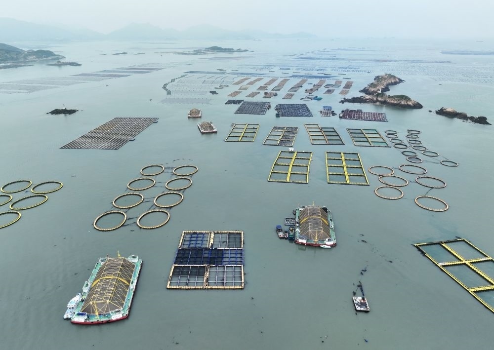 在福建連江定海灣海域，坐落著“定海灣1號(hào)”“定海灣2號(hào)”等深遠(yuǎn)海養(yǎng)殖平臺(tái)（2024年5月7日攝，無(wú)人機(jī)照片）。新華社記者 林善傳 攝