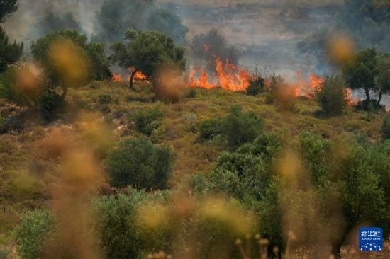 6月12日，以色列北部加利利地區(qū)遭受火箭彈襲擊后冒出滾滾濃煙。新華社發(fā)（阿亞爾·馬戈林?jǐn)z/基尼圖片社）