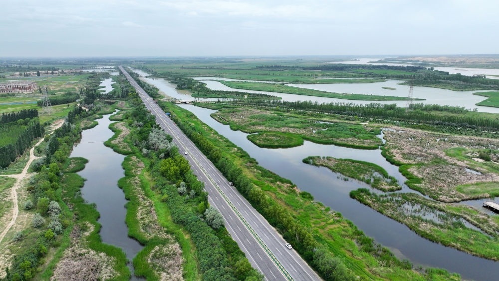 這是2024年6月13日拍攝的黃河寧夏段濱河大道（無人機(jī)照片）。近年來，寧夏努力建設(shè)黃河流域生態(tài)保護(hù)和高質(zhì)量發(fā)展先行區(qū)，全力打好黃河保護(hù)持久戰(zhàn)。新華社記者 王鵬 攝