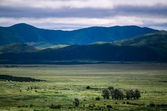 2023年8月4日拍攝的大興安嶺南麓內蒙古罕山國家級自然保護區(qū)風光。新華社記者 連振 攝