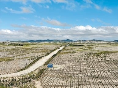 剛剛竣工的其白線穿沙公路。