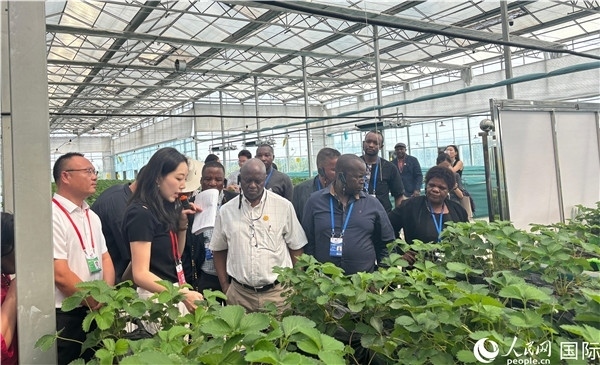 研討班成員在大棚中了解植物種植技術(shù)。人民網(wǎng) 曹欣悅攝