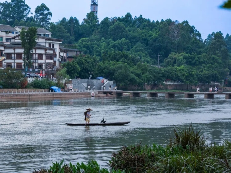 蘇稽古鎮(zhèn)的漁民在進(jìn)行魚(yú)鷹捕魚(yú)表演。本報(bào)記者 伊霄攝