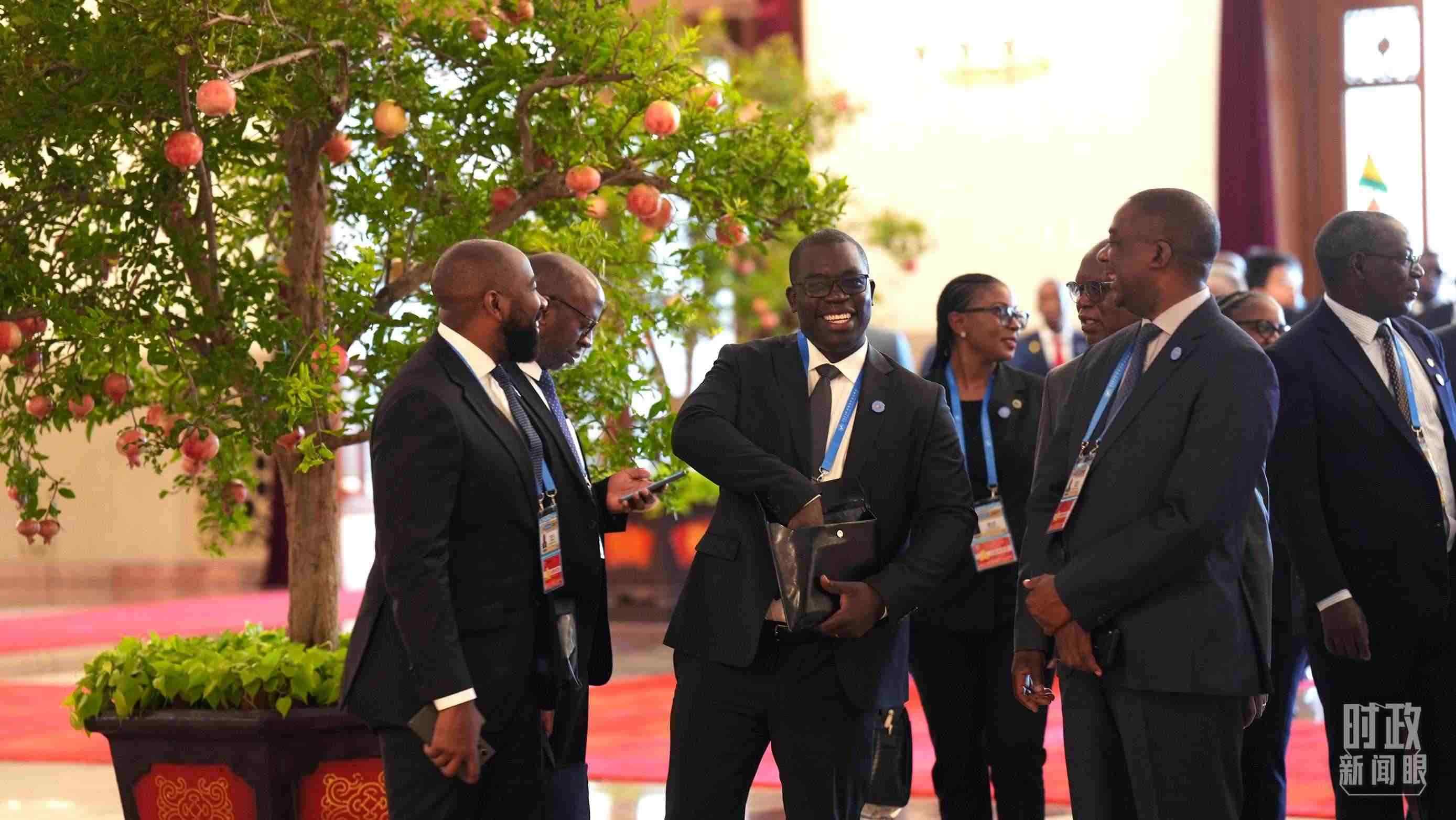 出席中非合作論壇北京峰會(huì)的非洲國家代表。（總臺(tái)記者李晉拍攝）