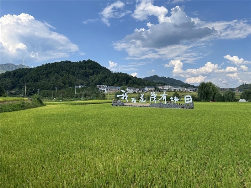 青瓦白磚的黔北民居、風(fēng)中搖曳的稻田、抬手可觸的大片云朵……才剛下車，格魯吉亞“經(jīng)濟(jì)中心網(wǎng)”總編輯莉安娜·喬爾喬利亞尼就被眼前的景色拖住了步履，喃喃細(xì)語：“實(shí)在太美了，讓我內(nèi)心平靜，在這里生活一定非常安逸和幸福?！保ㄇ褫x攝）