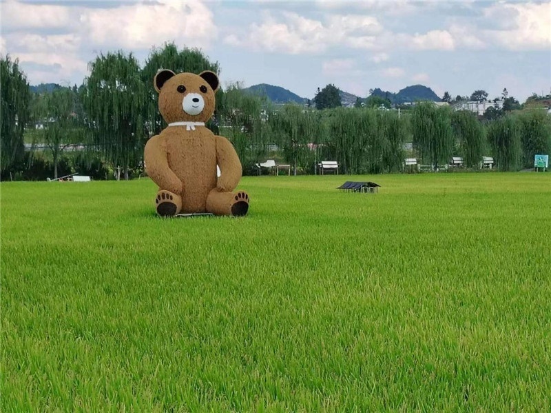 稻穗搖曳，垂柳依依，山嵐多姿，好一幅歲月靜好山鄉(xiāng)恬靜圖。這憨厚俏皮的熊玩偶造型，像是亂入其中，形成現(xiàn)代與傳統(tǒng)、好動(dòng)與寧靜的反差感，讓人過目不忘，也讓人莞爾一笑。（哈薩克斯坦鳳凰24新聞社總編輯兼首席執(zhí)行官克馬爾·馬山羅攝）