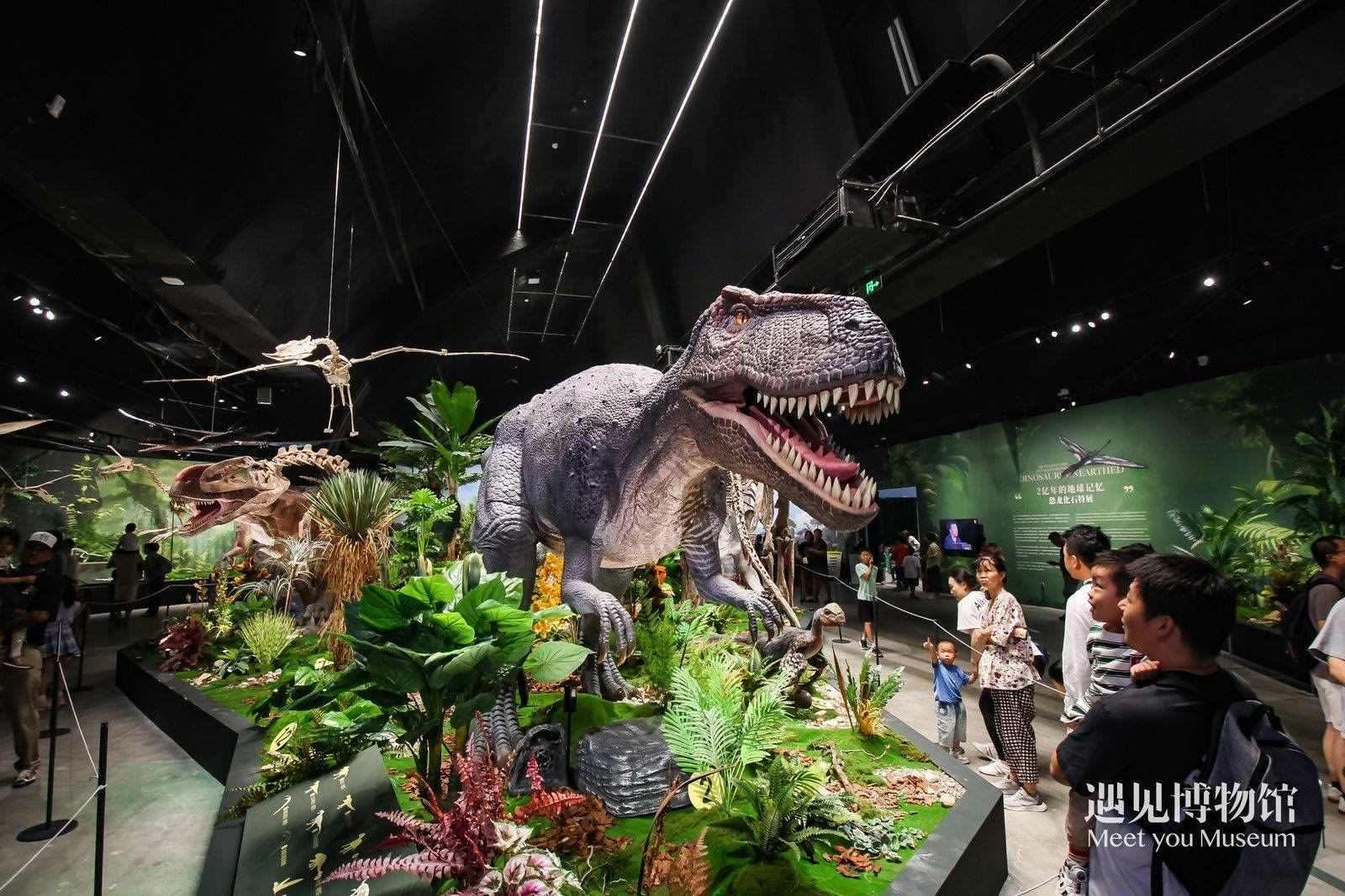 2. 游客參觀“2億年的地球記憶——恐龍化石特展”。遇見(jiàn)博物館供圖