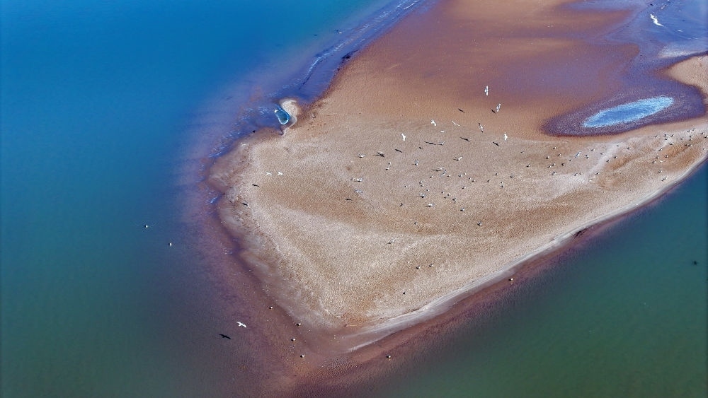 2024年3月1日拍攝的黃河寧夏段（無人機(jī)照片）。