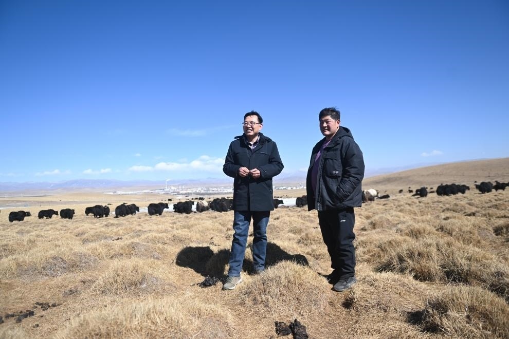 2023年2月24日，在青海省海北藏族自治州海晏縣青海湖鄉(xiāng)達(dá)玉日秀村，全國人大代表董全民（左）查看牧民東知布家的草場。新華社記者 張龍 攝