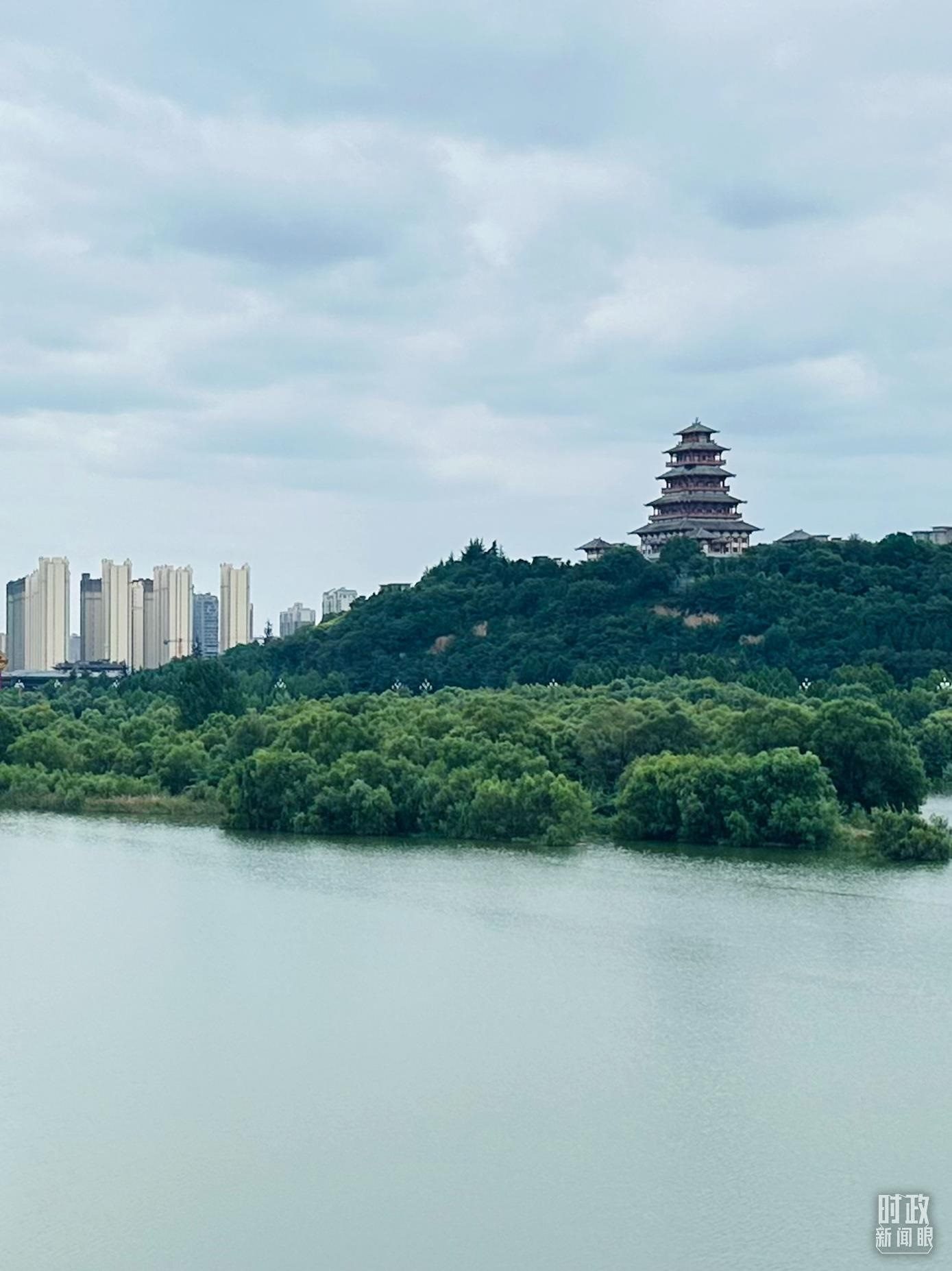 △渭河寶雞段長224公里，目前建成17處渭河灘區(qū)生態(tài)涵養(yǎng)區(qū)。（總臺央視記者范一鳴拍攝）