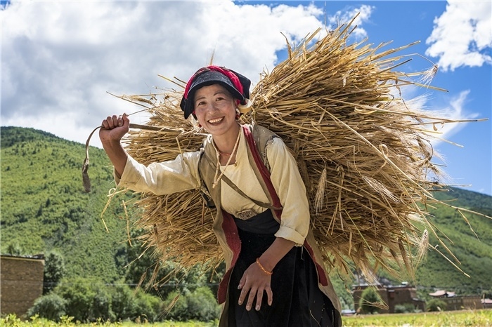 康定市甲根壩鎮(zhèn)青稞豐收，農(nóng)牧民臉上洋溢著豐收的喜悅。林革文攝