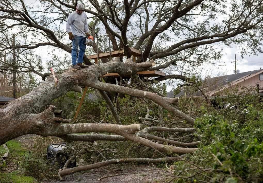 2021年8月30日，在美國路易斯安那州霍馬，一名男子站在被颶風(fēng)吹倒的大樹上。新華社發(fā)（尼克·瓦格納 攝）