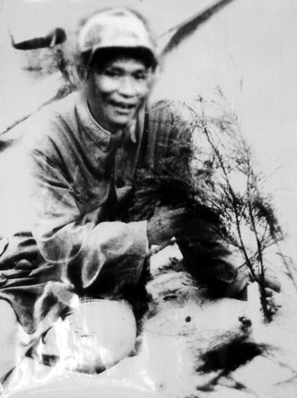 谷文昌與試種成活的木麻黃（資料照片）。為了治沙，谷文昌爬遍了東山縣400多個山頭，踏遍了30多公里的沙灘，終于帶領(lǐng)東山人民試種木麻黃成功。