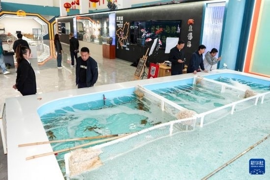 9月20日，游客在吉林省琿春市的帝王蟹保稅店內(nèi)選購帝王蟹。新華社記者 許暢 攝