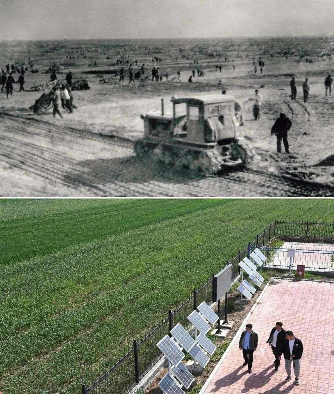 上圖為二十世紀(jì)六十年代蘭考改造鹽堿地的情景（資料照片）；下圖為2024年4月18日拍攝的蘭考縣紅廟鎮(zhèn)高標(biāo)準(zhǔn)農(nóng)田示范區(qū)。（新華社記者 朱祥 攝）