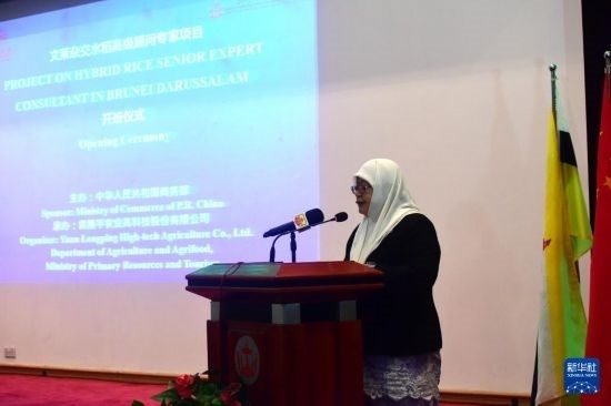 10月26日，文萊初級資源與旅游部常任秘書圖蒂亞蒂在斯里巴加灣市出席中國與文萊雜交水稻高級專家顧問項目啟動儀式。新華社記者 李萌 攝