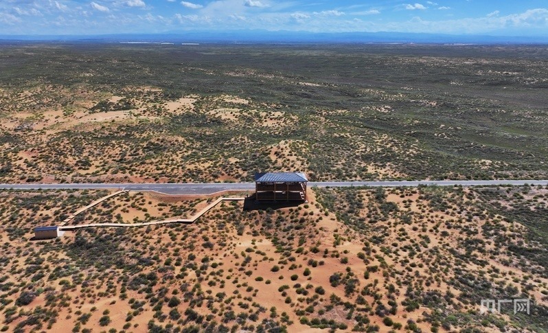 古浪縣一代代人治沙不息，讓綠色向沙漠深處不斷延伸（央廣網(wǎng)記者 李紅軍 攝）